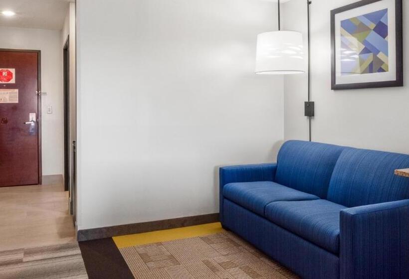 Holiday Inn Express Hotel & Suites Newton Sparta, An Ihg