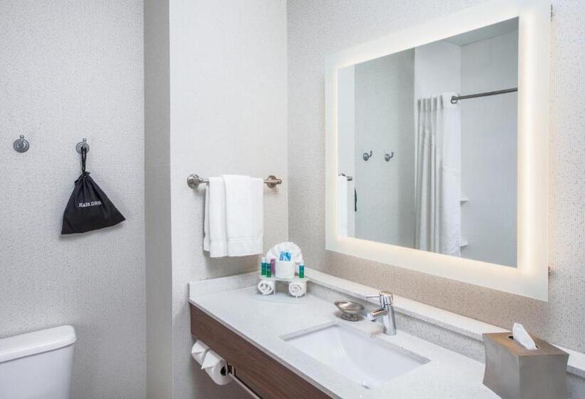 호텔 Holiday Inn Express & Suites Texarkana, An Ihg