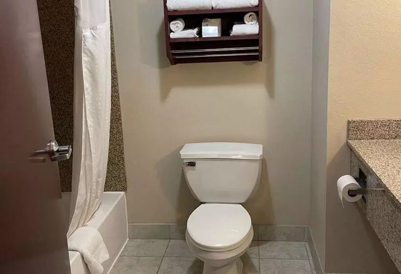 Hotel Holiday Inn Express & Suites Niagara Falls, An Ihg