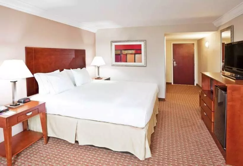 Hotel Holiday Inn Express & Suites Niagara Falls, An Ihg