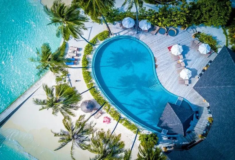 هتل Machchafushi Island Resort & Spa Maldives, The Centara Collection
