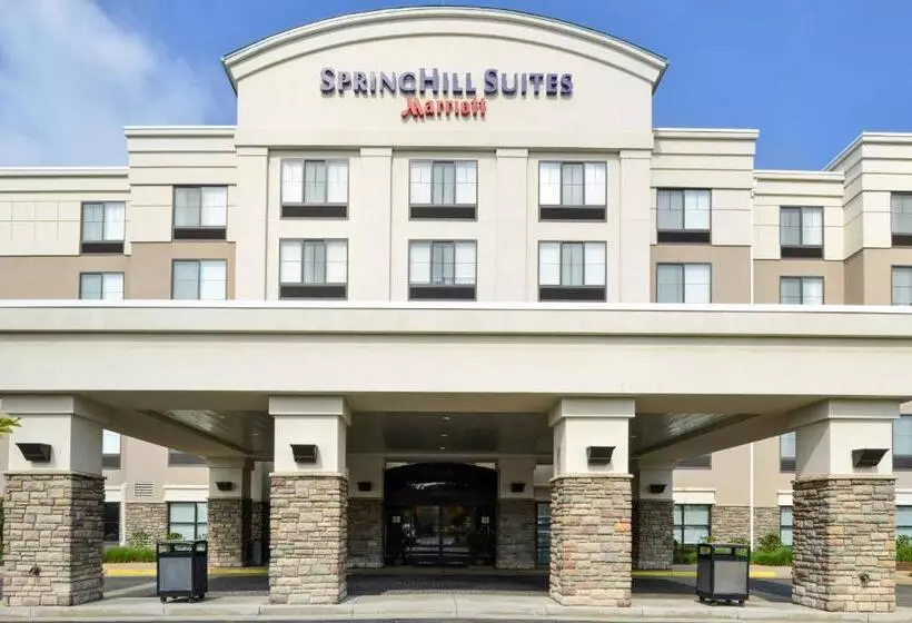 酒店 Springhill Suites Pittsburgh Mills
