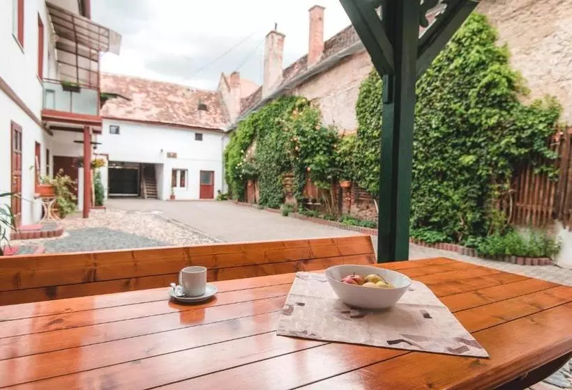 Guesthouse Casa Baciu