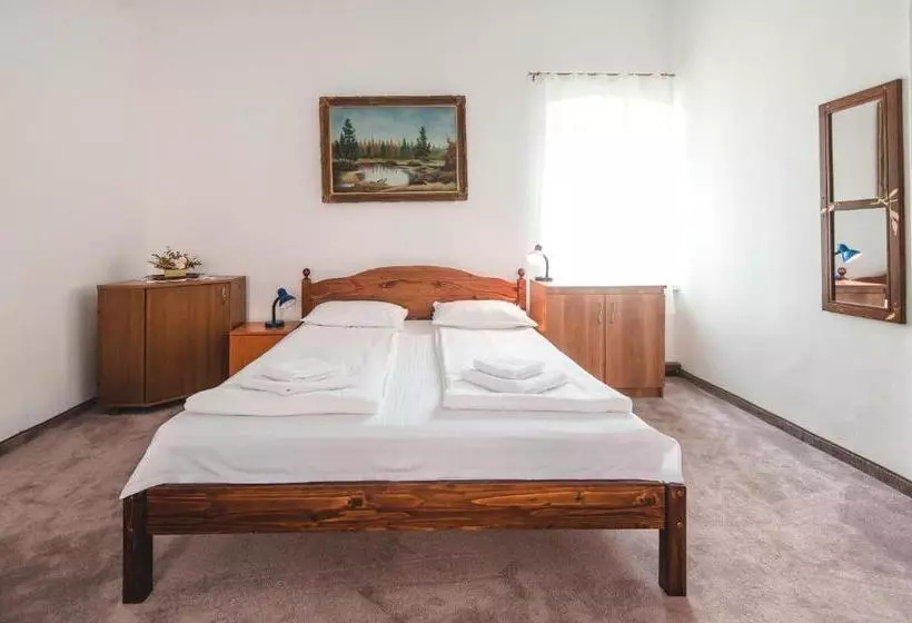 Guesthouse Casa Baciu