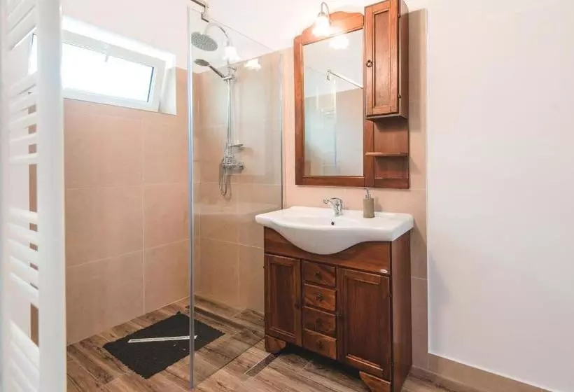 Guesthouse Casa Baciu