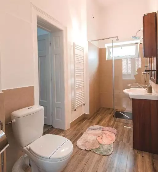 Guesthouse Casa Baciu