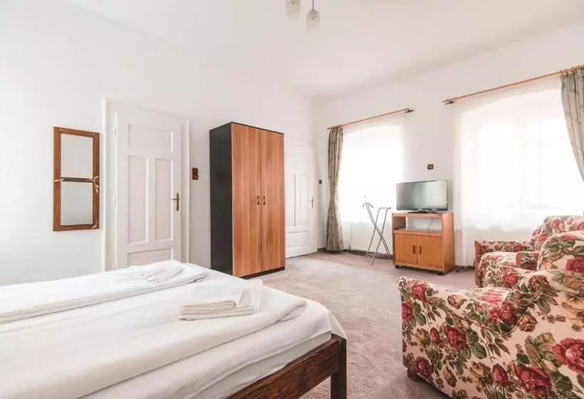 Guesthouse Casa Baciu