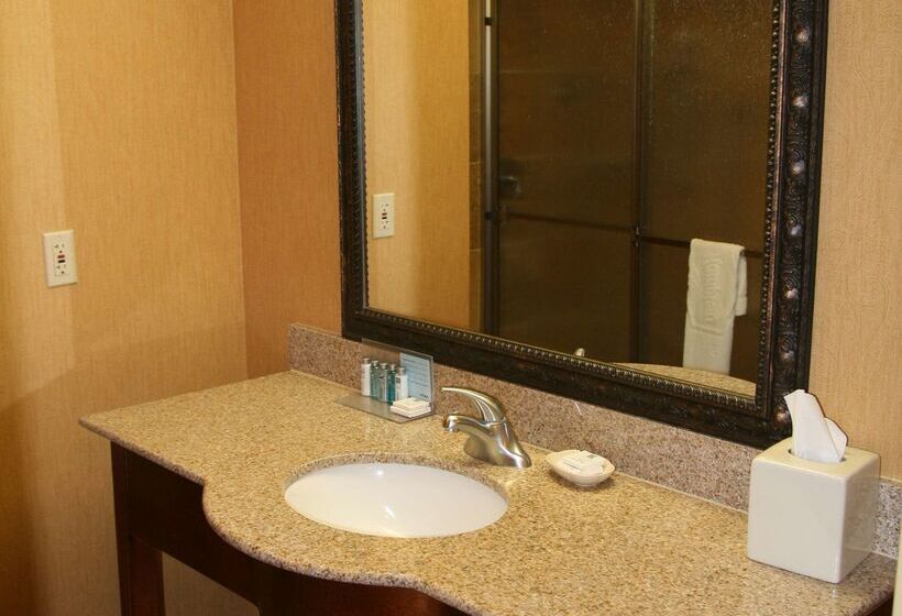 ホテル Hampton Inn & Suites Mccomb