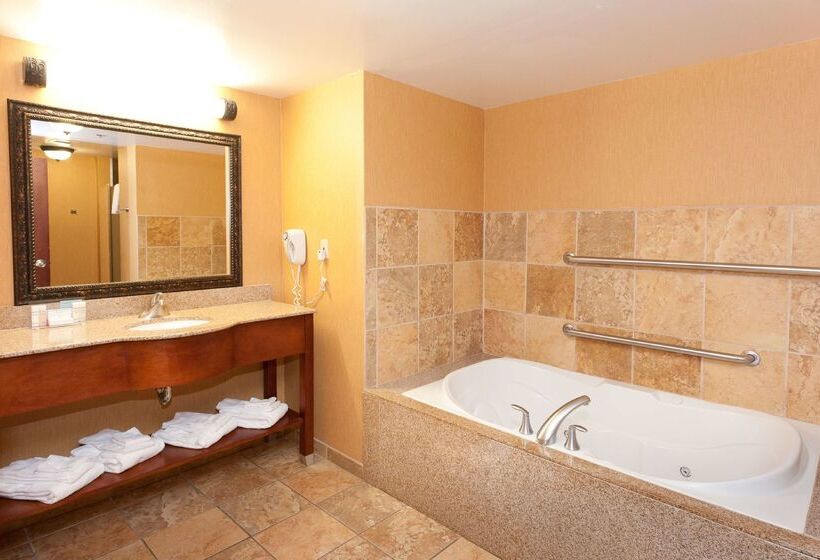 ホテル Hampton Inn & Suites Mccomb