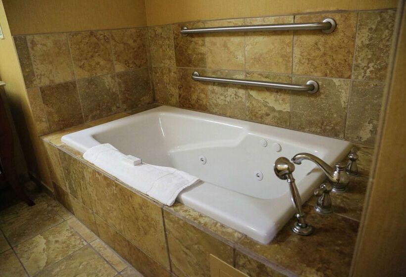 ホテル Hampton Inn & Suites Mccomb