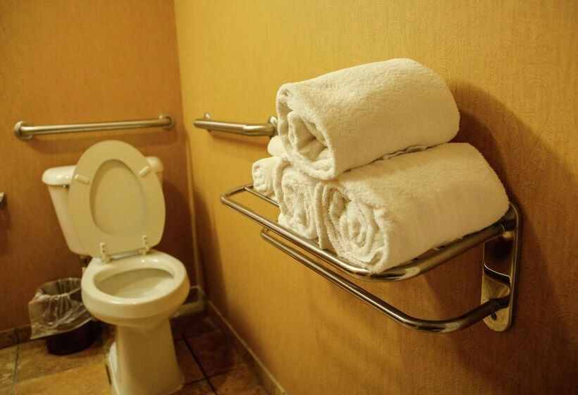 ホテル Hampton Inn & Suites Mccomb