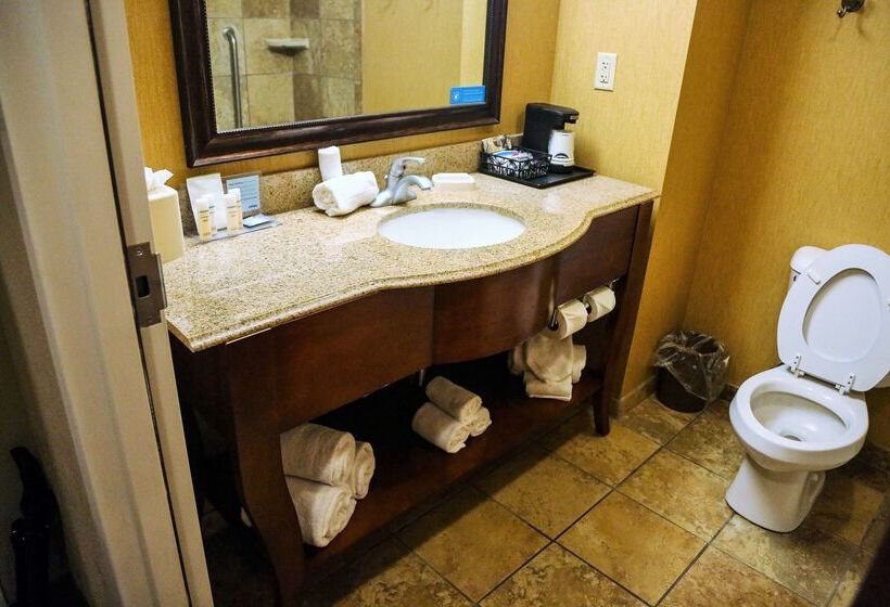 ホテル Hampton Inn & Suites Mccomb