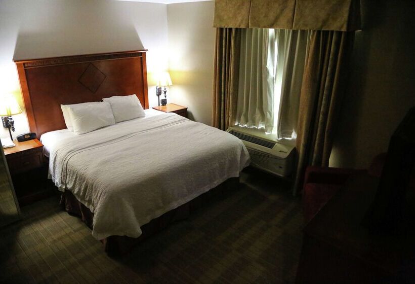 ホテル Hampton Inn & Suites Mccomb