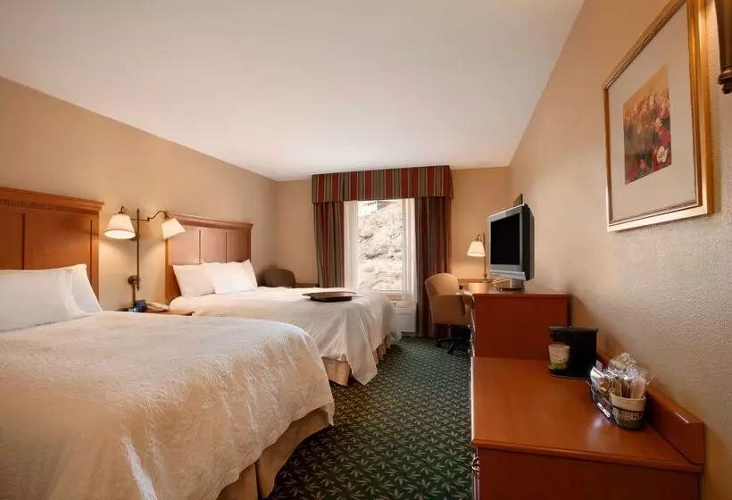 Отель Hampton Inn Canon City