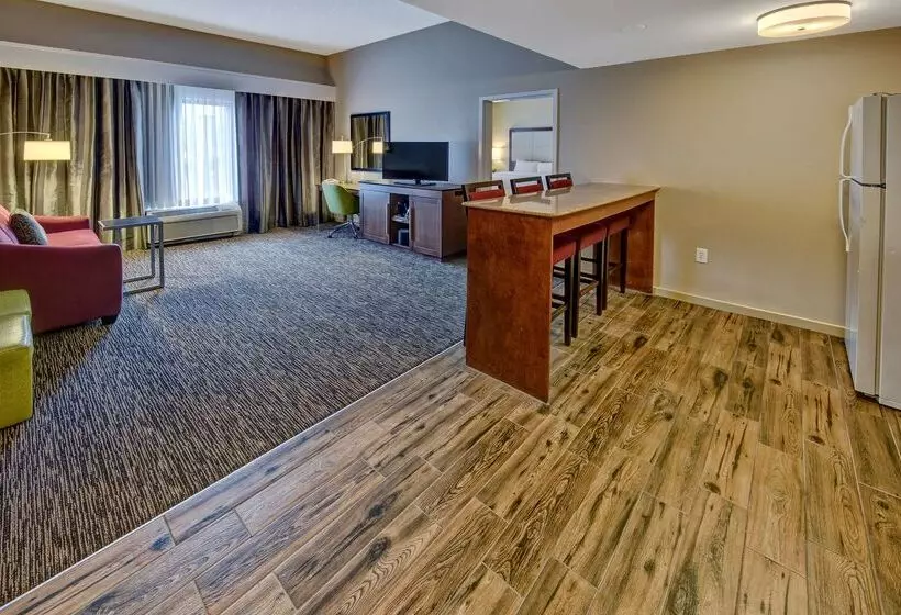 酒店 Hampton Inn By Hilton Dunn