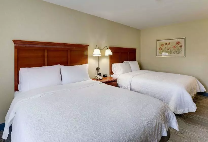 酒店 Hampton Inn & Suites St. Louisedwardsville