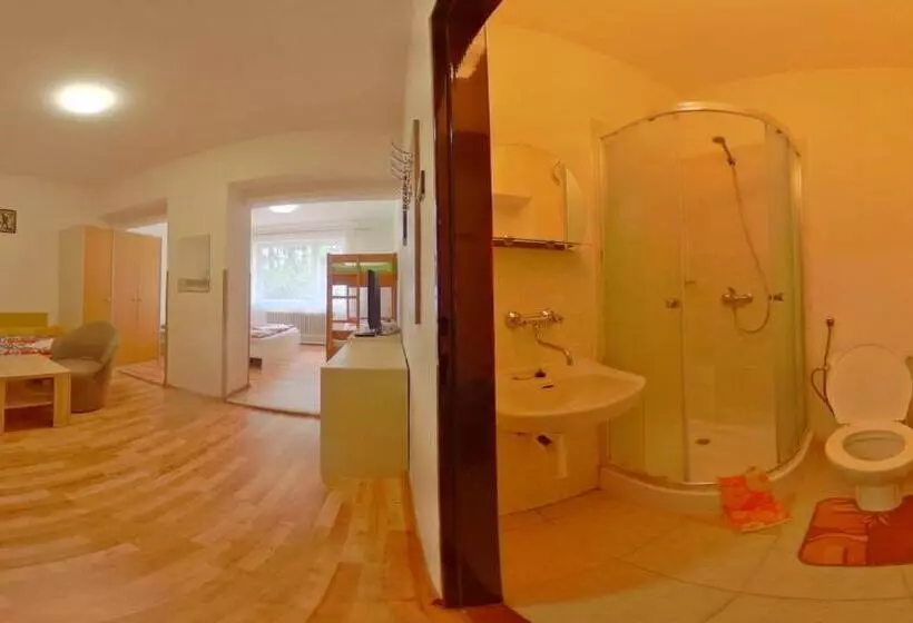 פנסיון Penzion Heřmanice