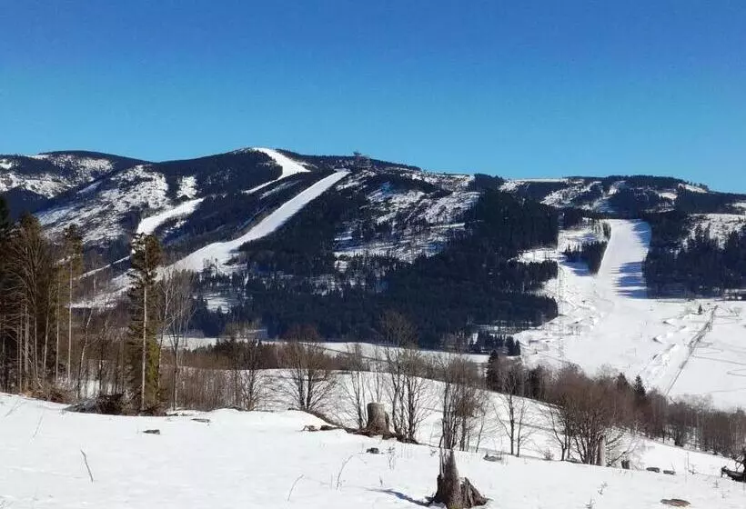 פנסיון Penzion Heřmanice