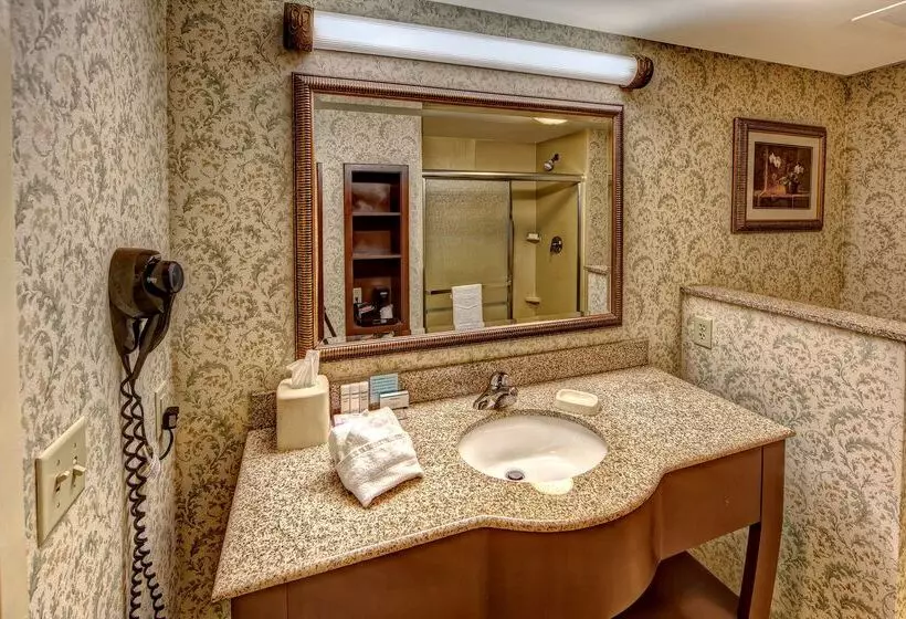 בית מלון כפרי Hampton Inn Manning