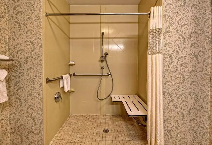 בית מלון כפרי Hampton Inn Manning