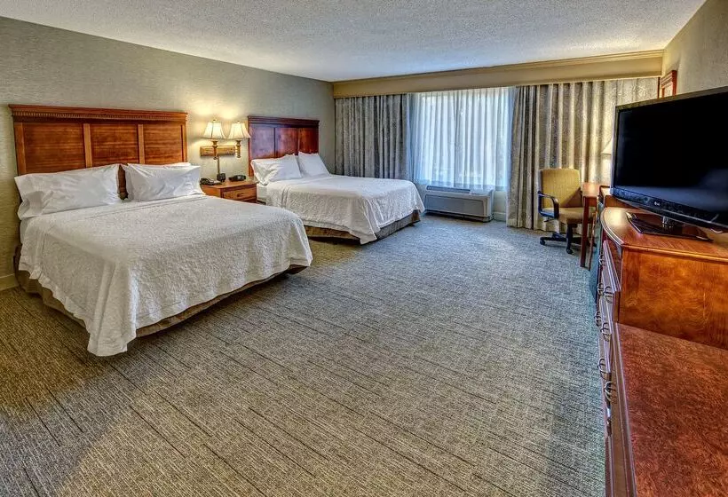 בית מלון כפרי Hampton Inn Manning