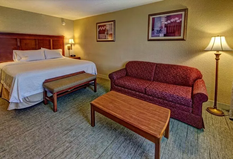 בית מלון כפרי Hampton Inn Manning