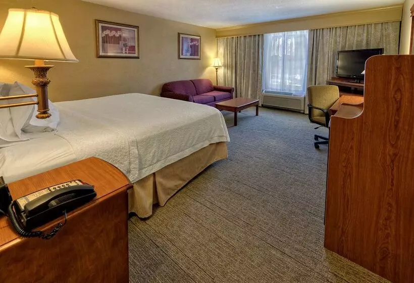 בית מלון כפרי Hampton Inn Manning