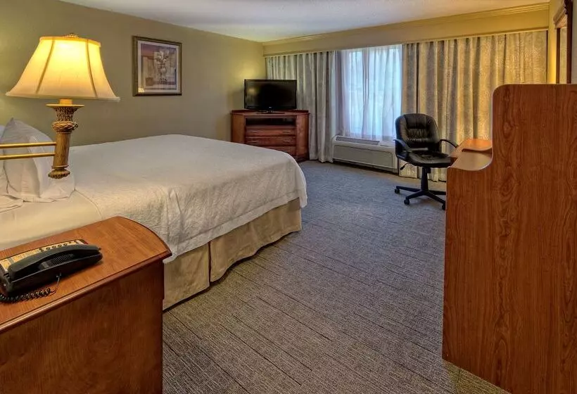 בית מלון כפרי Hampton Inn Manning