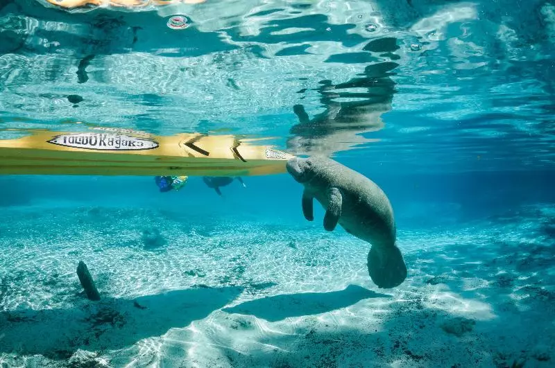 酒店 Holiday Inn Express Crystal River, An Ihg