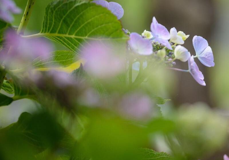 호텔 The Woodbridge Waterfront Rooms