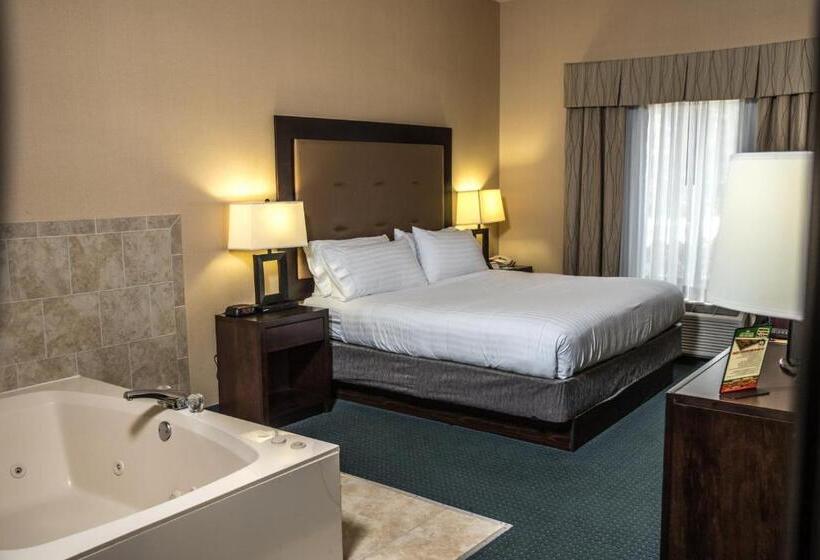 Отель Holiday Inn Express & Suites Detroit   Novi, An Ihg