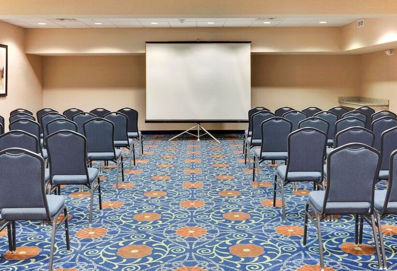 Отель Holiday Inn Express & Suites Detroit   Novi, An Ihg