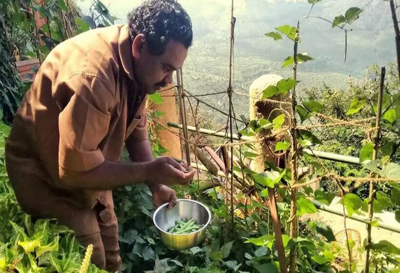 호텔 Blackberry Hills Munnarnature Resort & Spa