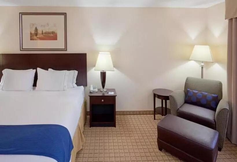 Holiday Inn Express Hotel & Suites Rochester, An Ihg