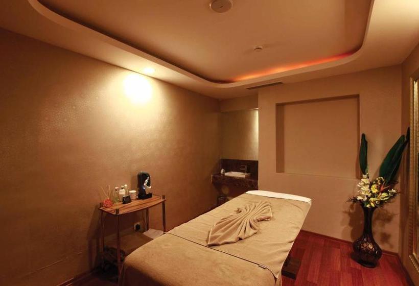 Отель Holiday Inn Gebze  Istanbul Asia, An Ihg