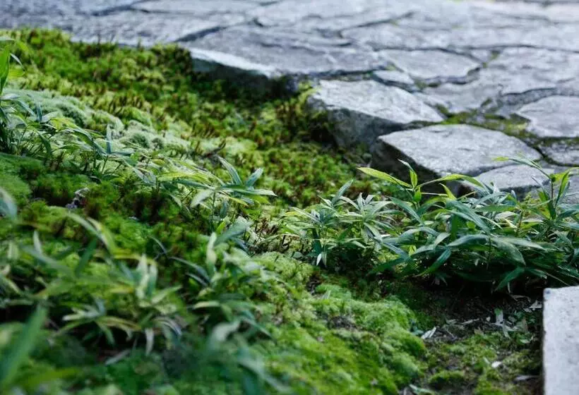 Отель Kotohira Kadan