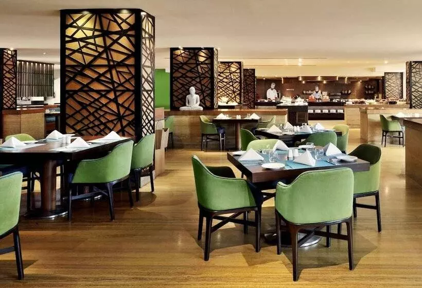 Radisson Blu Plaza Hotel Hyderabad Banjara Hills