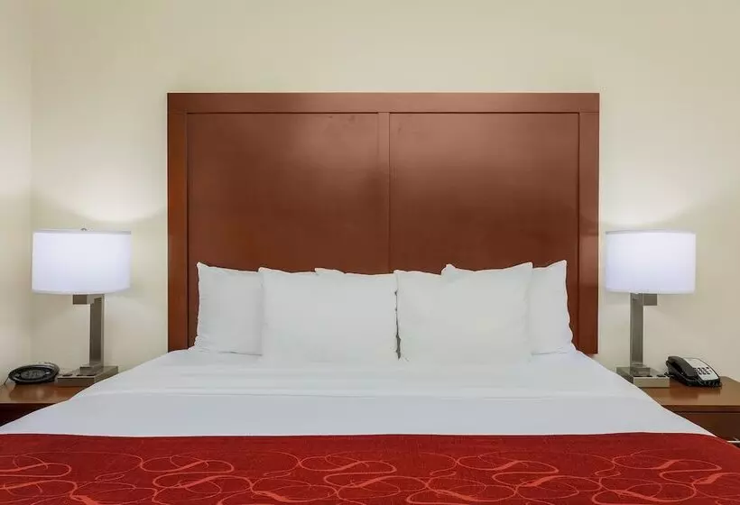 Отель Comfort Suites Dfw N Grapevine