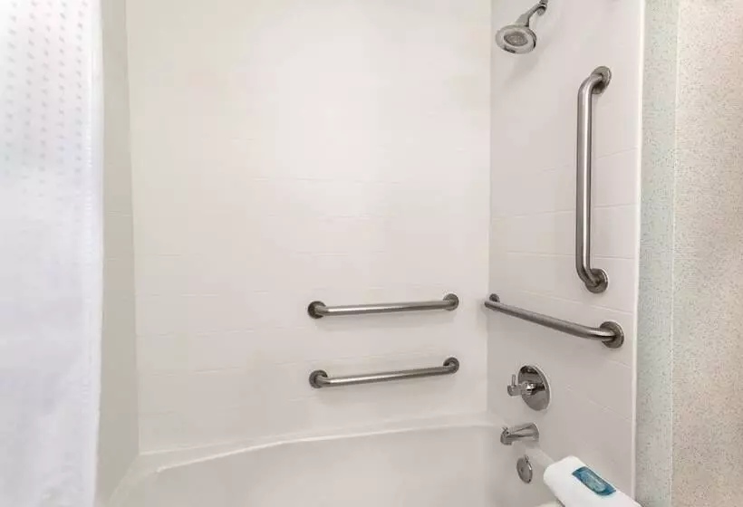 Holiday Inn Express Hotel & Suites Lawton Fort Sill, An Ihg