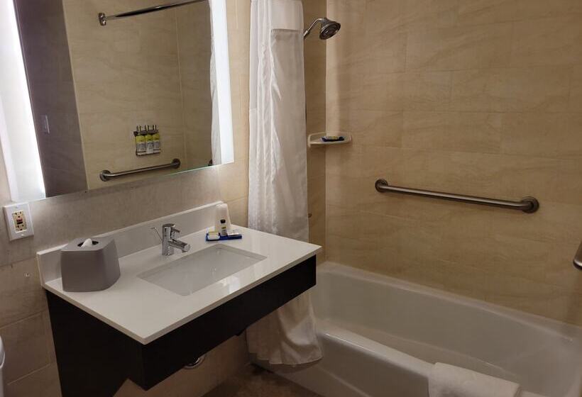 ホテル Holiday Inn Express Maspeth, An Ihg