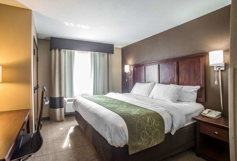 Отель Comfort Suites Columbia  University Area