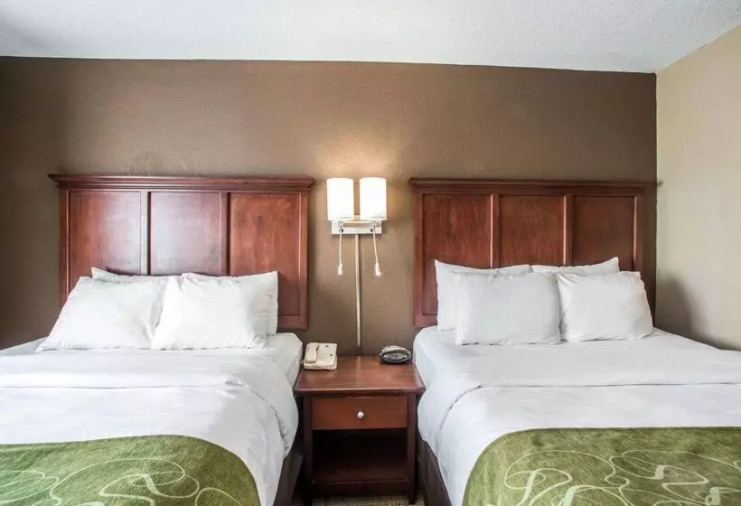 酒店 Comfort Suites Columbia University Area