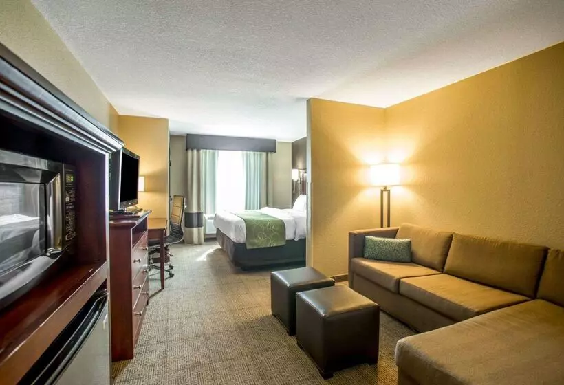 酒店 Comfort Suites Columbia University Area
