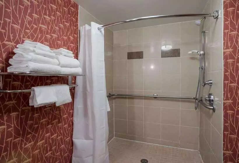 酒店 Comfort Suites Suffolk  Chesapeake