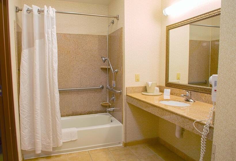 Holiday Inn Express Hotel & Suites Center, An Ihg