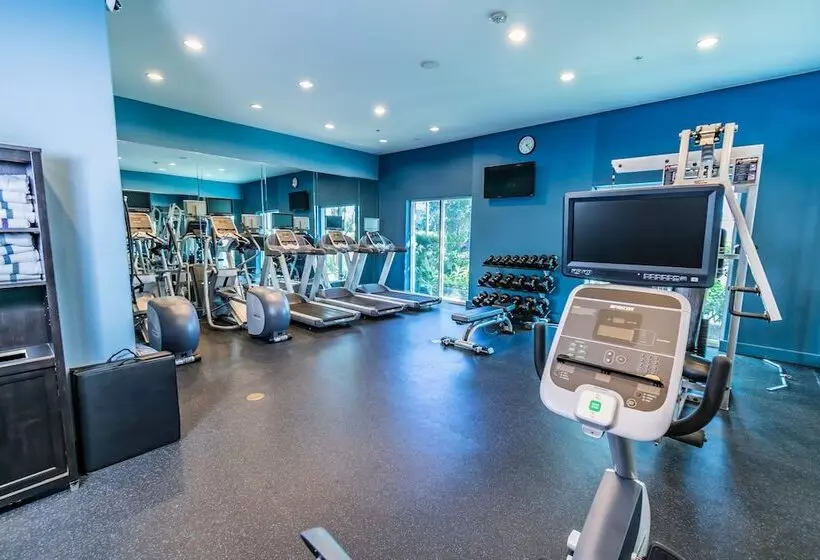 Hotel Holiday Inn Houston Webster By Ihg