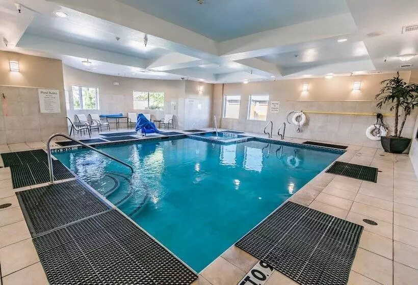 Hotel Holiday Inn Houston Webster By Ihg