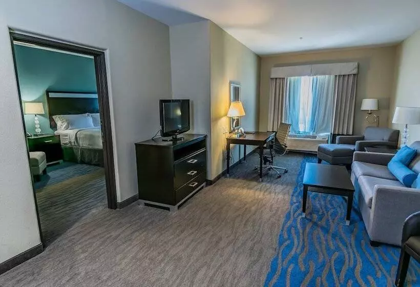 Hotel Holiday Inn Houston Webster By Ihg