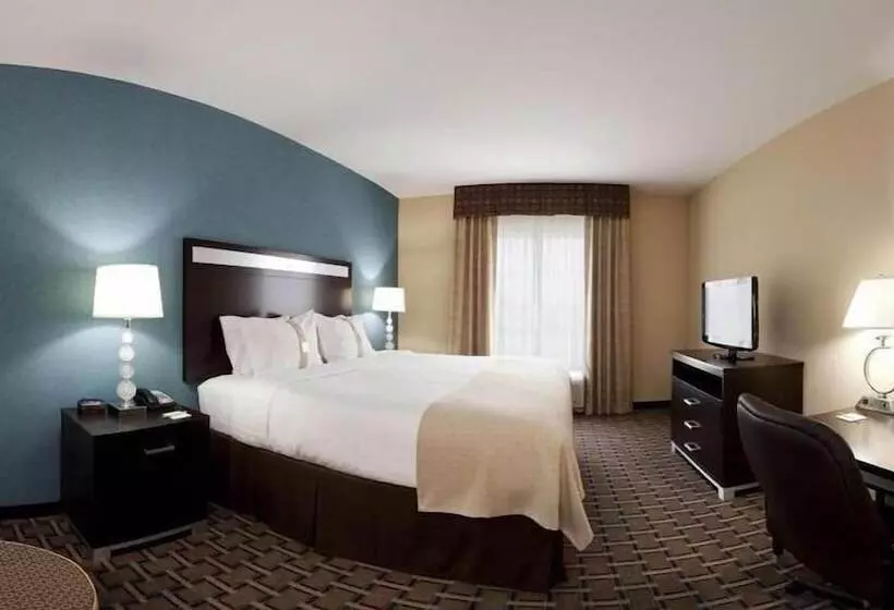 Hotel Holiday Inn Houston Webster By Ihg