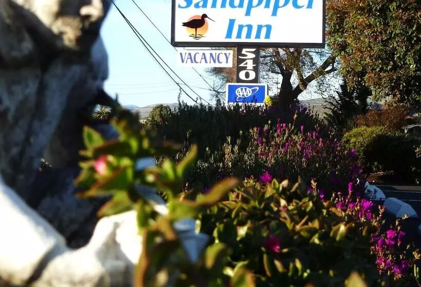 ホテル Morro Bay Sandpiper Inn